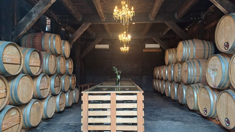 ensenada-baja-california-valle-de-guadalupe-768x432